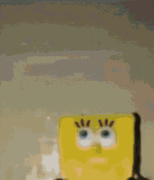 This is the Avatar Image for the "Spongebob Spongebob, Patrick Patrick" Meme AI Voice and Text to Speech Generator